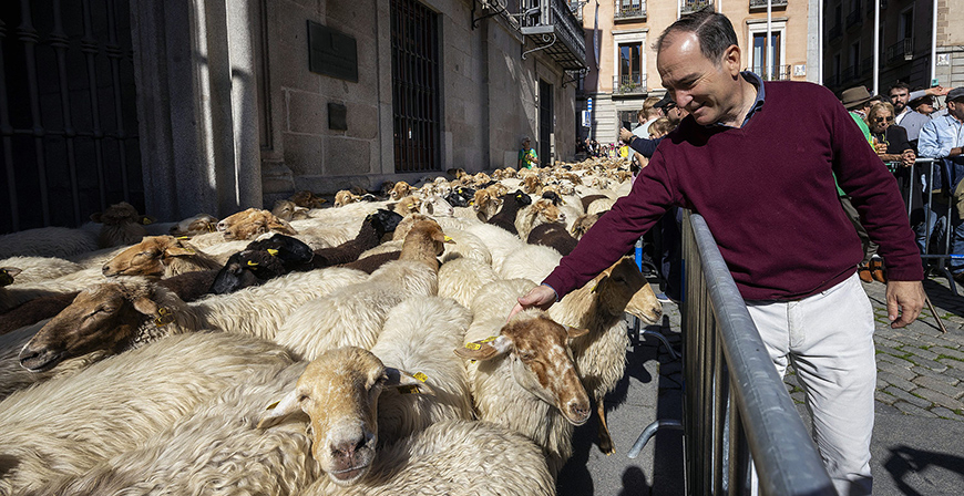 Los campurrianos, protagonistas en la XXXIII Fiesta de la Trashumancia en Madrid