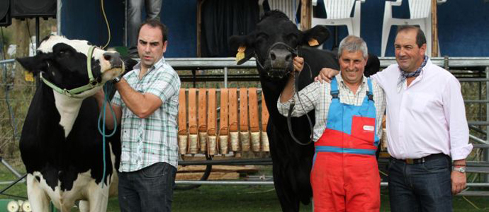 Cantabria acoger en 2015 el Concurso Nacional de Ganado Frisn