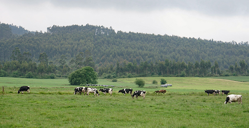 Cantabria amplia hasta el 15 de mayo el plazo de la Solicitud �nica 2026