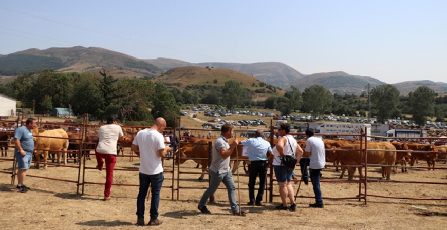 Cantabria ampliar� las medidas frente a la Dermatosis Nodular Contagiosa hasta el 31 de julio