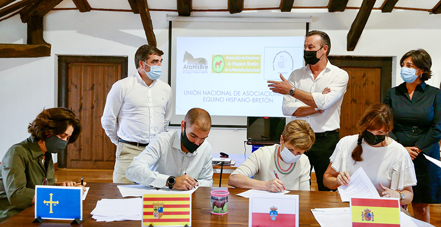 Cantabria, Asturias y Aragn se unen para crear la Unin Nacional de Asociaciones de Equino Hispano Bretn