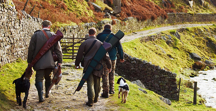 Cantabria confirma un caso de enfermedad de Aujeszky en un perro que hab�a participado en una monter�a