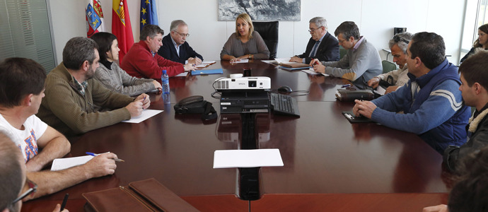 Cantabria crea un grupo de trabajo para combatir la expansin de la avispa asitica