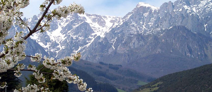 Cantabria destinar 325.000 euros en ayudas para promover el desarrollo sostenible en Picos de Europa