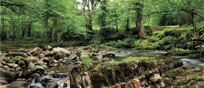 'Cantabria es esencia' en Valdeprado del Ro