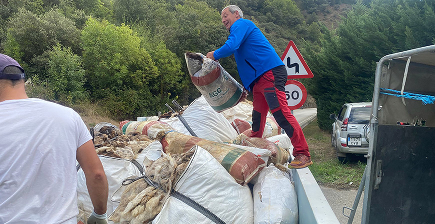 Cantabria ha recogido unas 18 toneladas de lana de oveja sin salida comercial, dentro de un proyecto piloto pionero en Espa�a