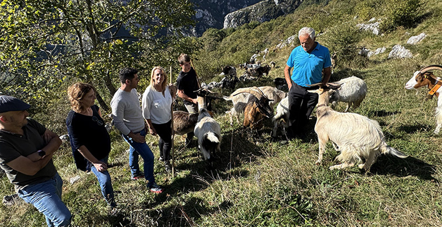 Cantabria inicia el pago de las ayudas a la ganader�a sostenible de ovino y caprino por un total de 100.000 euros