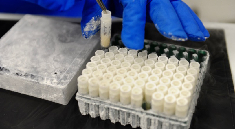 Cantabria pone en marcha un estudio pionero en Espaa que monitorizar a 50.000 personas para ayudar a la investigacin epidemiolgica y biomdica