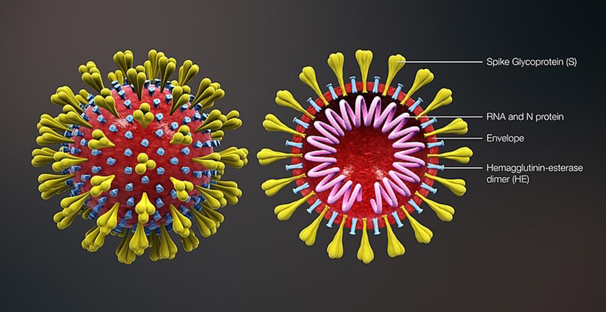 Cantabria registra seis nuevos positivos por coronavirus, con un total de 48 casos activos 