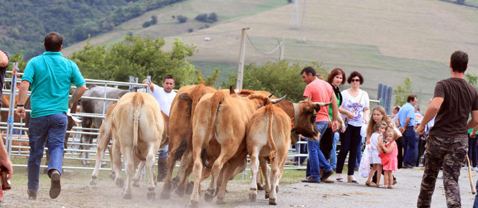 Canteva acogi la III Feria-Exposicin ganadera de Santiurde de Reinosa