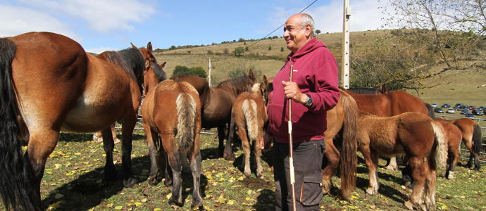 Canteva acogi la IV Feria-Exposicin ganadera de Santiurde de Reinosa