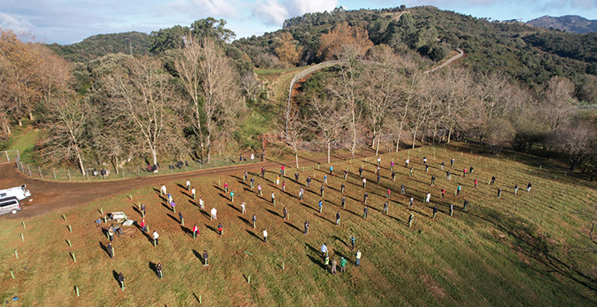 Cantur y Bosques de Cantabria plantarn 1.500 rboles autctonos en Cabrceno