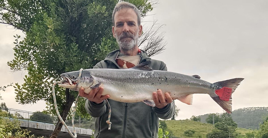 Capturan el 'campanu' de Cantabria en aguas del Nansa