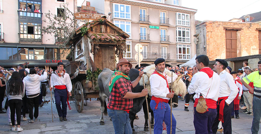 La carreta de Reinosa gana el concurso del Da de Campoo