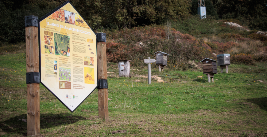 La Casa de la Miel de Campoo de Yuso abre sus puertas