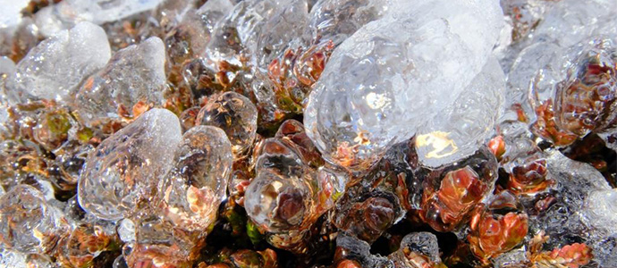 Cencellada sobre brezo gana el concurso de fotografa Los estados del Agua de la CHE