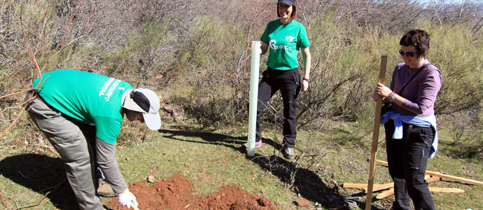 Un centenar de voluntarios cubren de manzanos y cerezos una ladera del monte de Suano