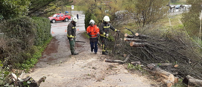 El Centro de Atencin de Emergencias 112 coordina 93 incidencias por viento