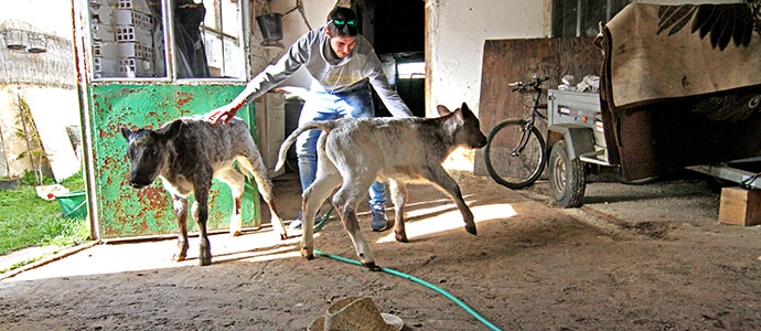 'Chata', cuatro aos consecutivos alumbrando mellizas