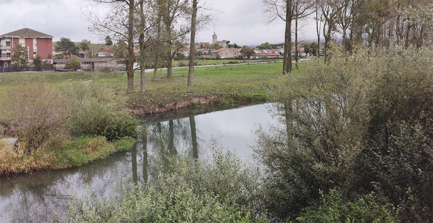 La CHE destinar 57.760 euros para actuar en el Ebro a su paso por Enmedio y Suso