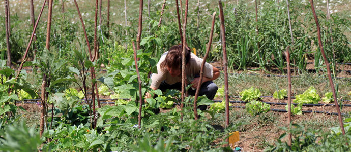 Clausurado el taller de empleo 'Ager Juliobrigesum'