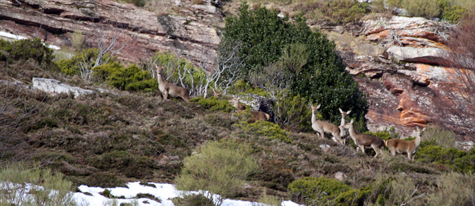 Comprometidos con el desarrollo de Campoo