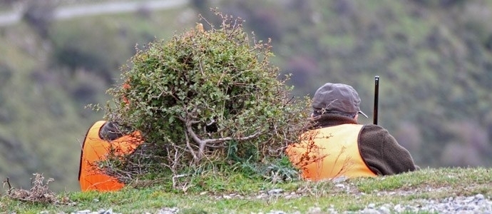 La Comunidad Campoo-Caburniga saca a subasta 13 permisos de caza