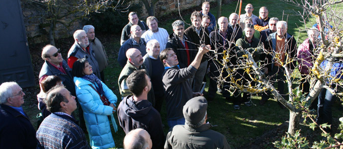 Concluye en Valderredible el curso de fruticultura, poda e injertos