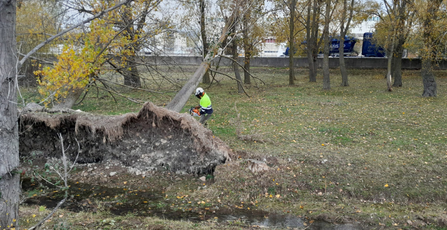 La Confederaci�n Hidrogr�fica del Duero inicia la limpieza del cauce del Camesa y del arroyo de La Hoya a su paso por Mataporquera