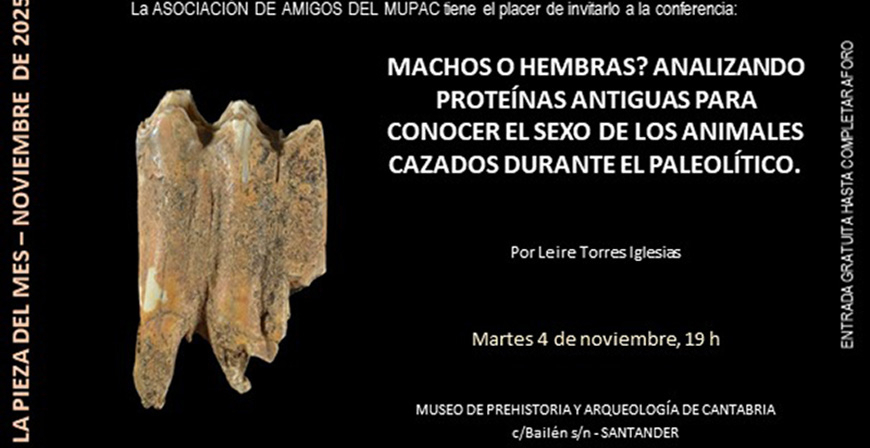Una conferencia sobre las caractersticas de las protenas para conocer distintos aspectos del Paleoltico pieza del mes del MUPAC