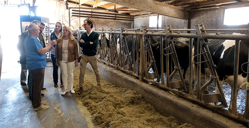 La consejer�a de Ganader�a inicia el pago de casi 10 millones en ayudas dirigidas al sector agrario