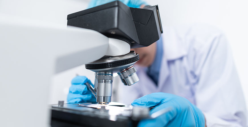 La Consejera de Sanidad elabora un protocolo deteccin precoz de la viruela del mono