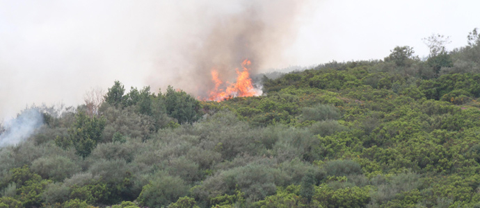 Controlado el incendio de la zona de Gualpedroso