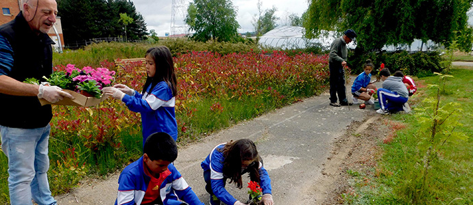 Convivencia intergeneracional en Tercera Actividad