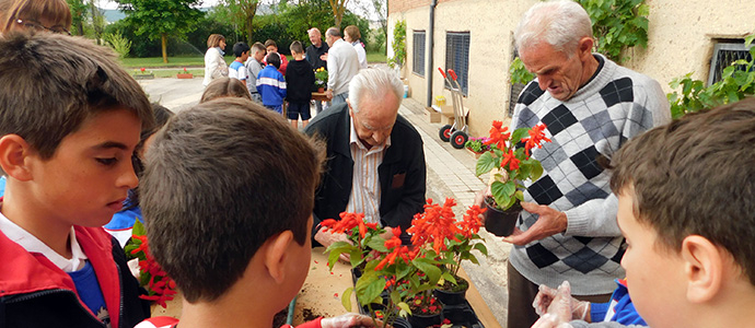 Convivencia intergeneracional en Tercera Actividad