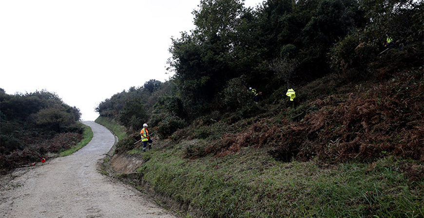 Convocadas ayudas por 2 millones de euros para mejorar los pastizales de aprovechamiento comn en 2026