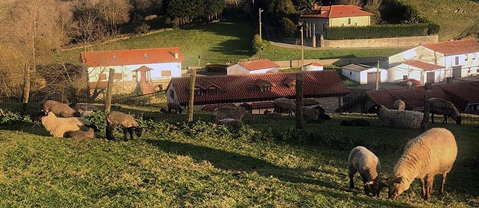 Convocadas las ayudas a la conservacin de razas autctonas de ganado ovino y caprino 