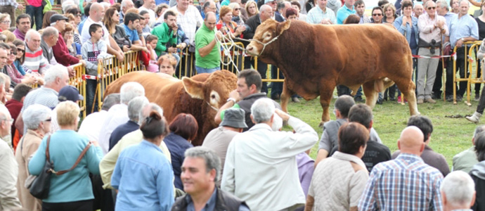 Convocadas las ayudas para ferias y exposiciones de ganado selecto bovino y otras especies