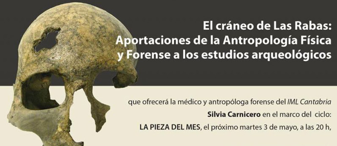 'El crneo de Las Rabas', pieza del mes en el Museo de Prehistoria de Cantabria