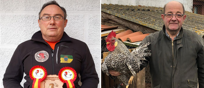 La cra de gallina pedresa en Campoo marca la pauta nacional