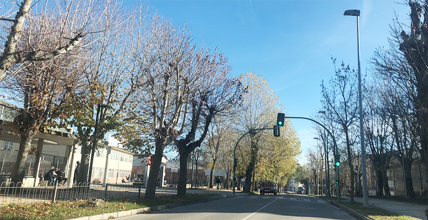 Las cuarentenas se decretarn con cuatro positivos en aquellas aulas que tengan entre diecisis y veinte alumnos