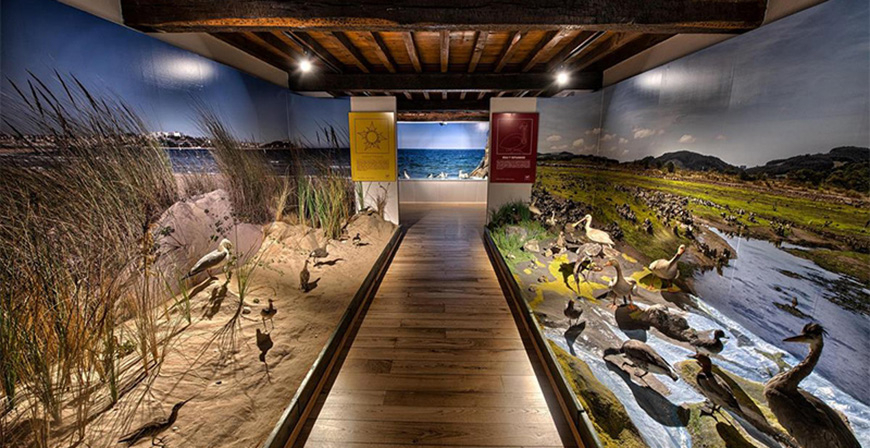 Cultura comienza en el Museo de la Naturaleza de Cantabria la implantacin de audioguas en todos los centros musesticos