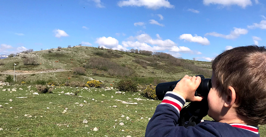 Curso gratuito dirigido al pblico infantil para conocer la fauna de la comarca