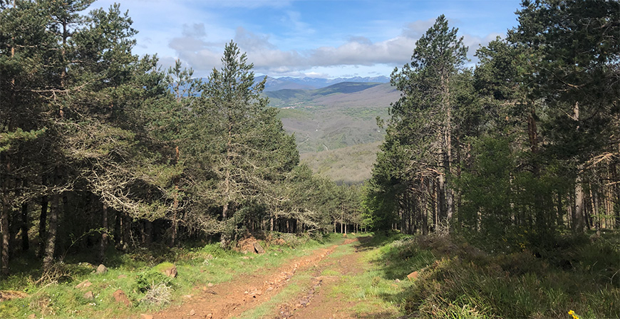Desarrollo Rural acondicion el ao pasado ms de 90 kilmetros de caminos y pistas municipales