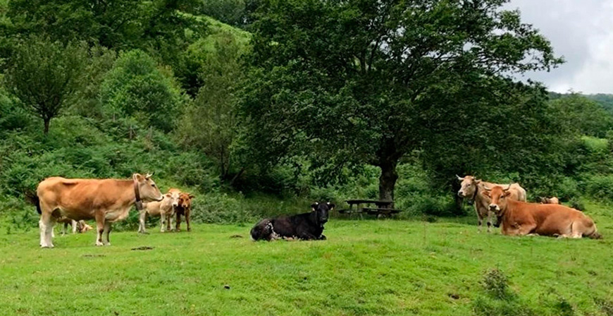 Desarrollo Rural comienza esta semana a abonar el pago de las ayudas de producci�n ecol�gica