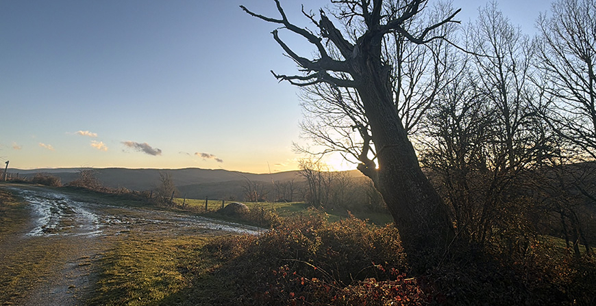 Desarrollo Rural convoca 1,2 millones en ayudas para que ayuntamientos con menos de 5.000 habitantes mejoren sus infraestructuras agrarias