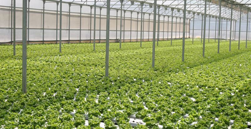 Desarrollo Rural convoca ayudas para fomentar la agricultura productiva y sostenible en Cantabria