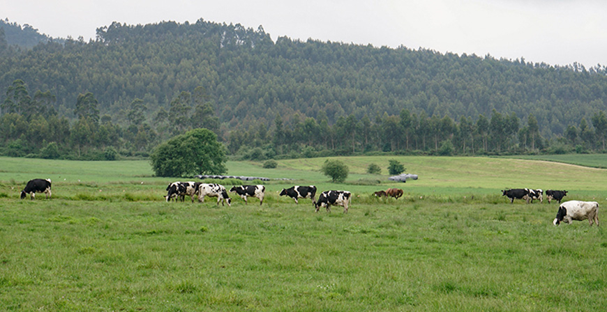 Desarrollo Rural convoca las ayudas de la Solicitud �nica para 2026 con una cuant�a total de 60 millones de euros