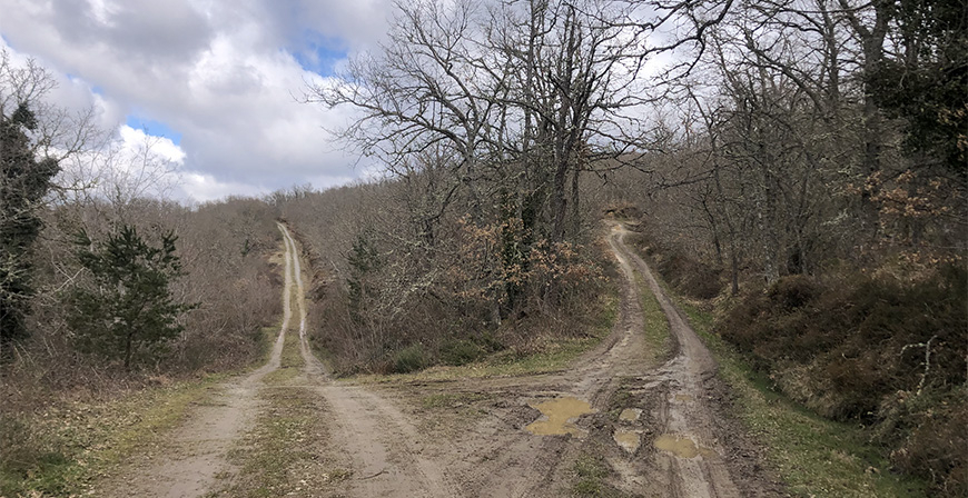 Desarrollo Rural destinar 2,5 millones de euros a la reparacin y ejecucin de 65 caminos