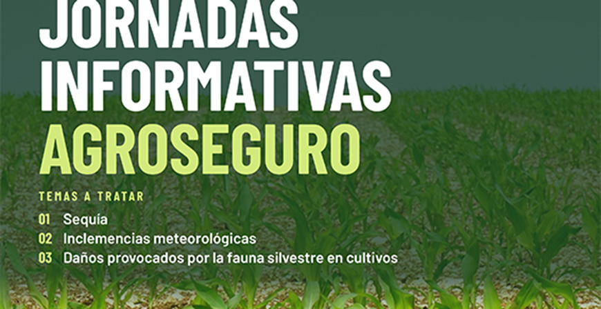 Desarrollo Rural organiza unas jornadas informativas para dar a conocer las condiciones de las p�lizas frente a la sequ�a y otras inclemencias meteorol�gicas